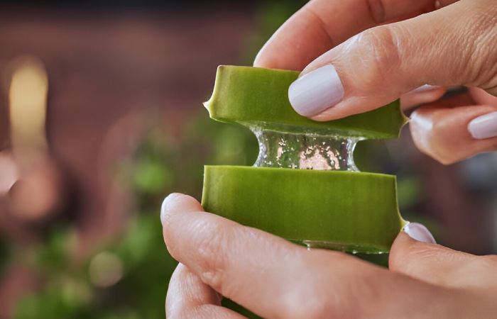 Aloe Vera as a Moisturiser